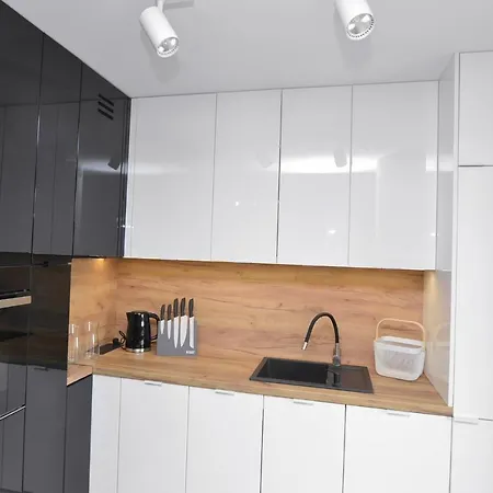 Krolowej Bony- Z Garazem Centrum Gliwic Apartmán *